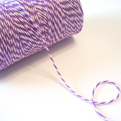 Bakers Twine - Twisted Lilac Purple and White Twine Spool - Create a party invitation